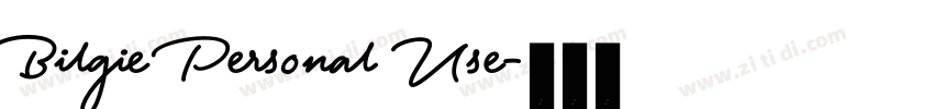 Bilgie Personal Use字体转换